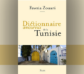 Dictionnaire amoureux de la Tunisie