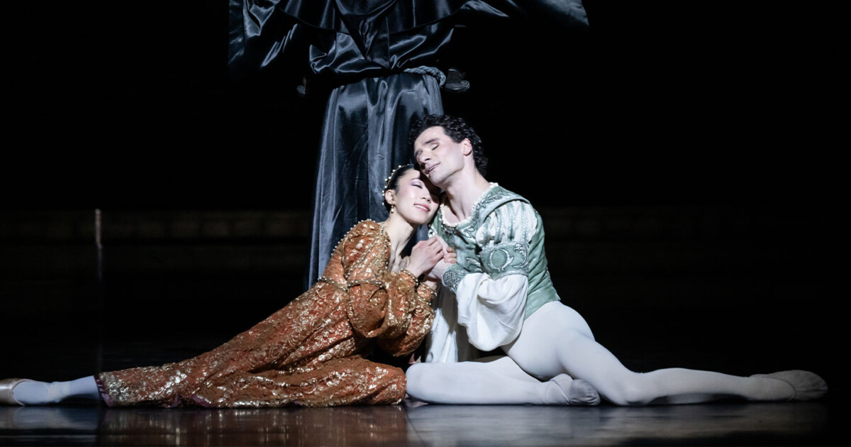 Spectacles annulés à l'Opéra de Paris : Roméo et Juliette, La Dame aux ...
